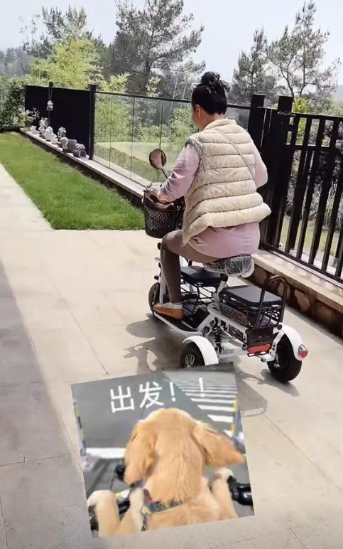 活！豪宅院中学车从客厅到厕所还得骑电三轮j9九游会网址是什么63岁何赛飞晒晚年生(图5)